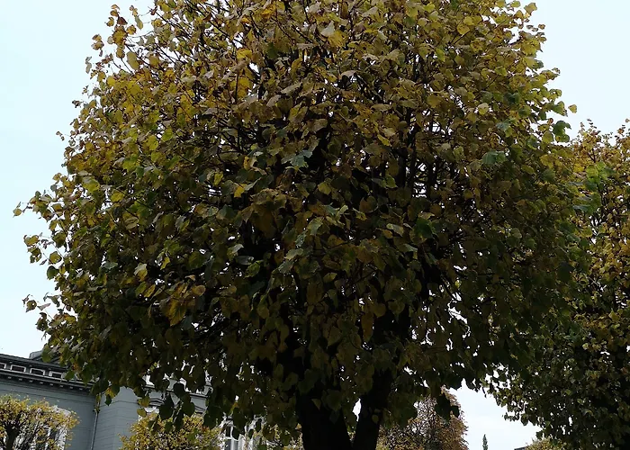 Appart hôtel Ole Bull, Western Signature Collection Bergen